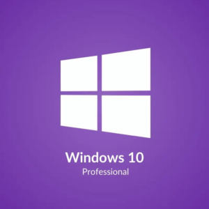Microsoft Windows 10 Professional
