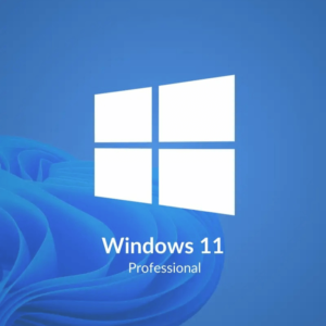 Microsoft Windows 11 Professional